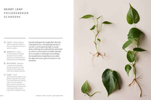 Load image into Gallery viewer, Union Square &amp; Co. - The Healing Power of Plants By Fran Bailey

