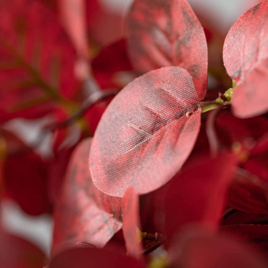 RED EUCALYPTUS BUNDLE