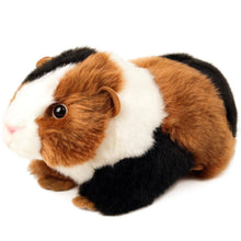 Load image into Gallery viewer, Gianni The Guinea Pig
