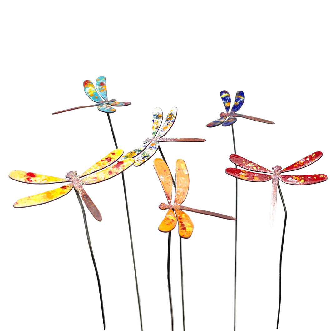 Dragonflies Enamel Copper